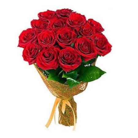 Rose flower