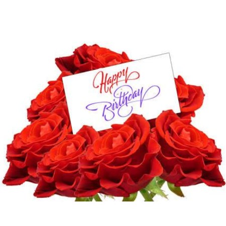 Rose Flower
