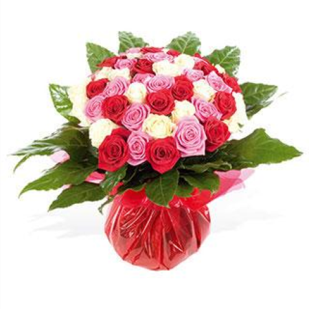 RosesNroses