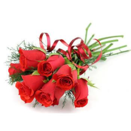 Fresh Red Rose